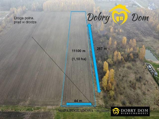Duża działka 11 000 m² w Dojlidach Górnych z prądem