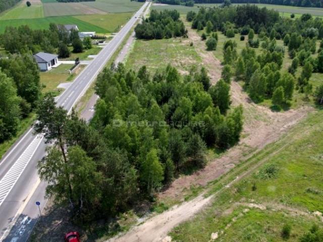 Bialska 980 m², Czosnówka