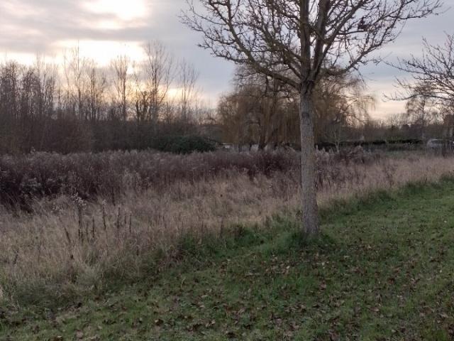 Bichancourt Vente Terrain 02