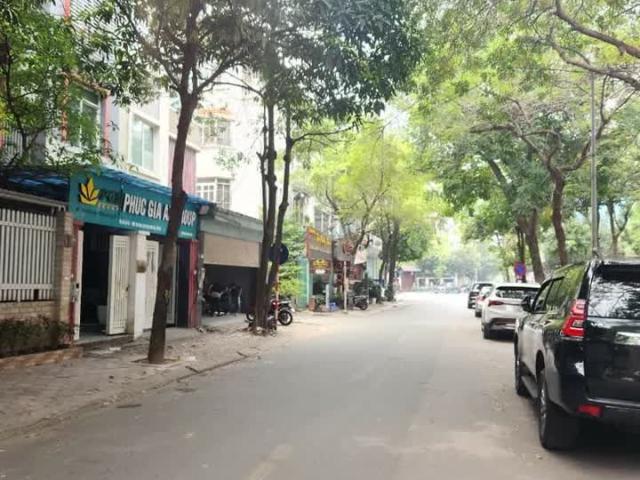 Biêt Thự Vip Cầu Giấy Phố Thọ Tháp An Sinh Đẳng Cấp. 100m x 5 tầng. Giá 49 tỷ