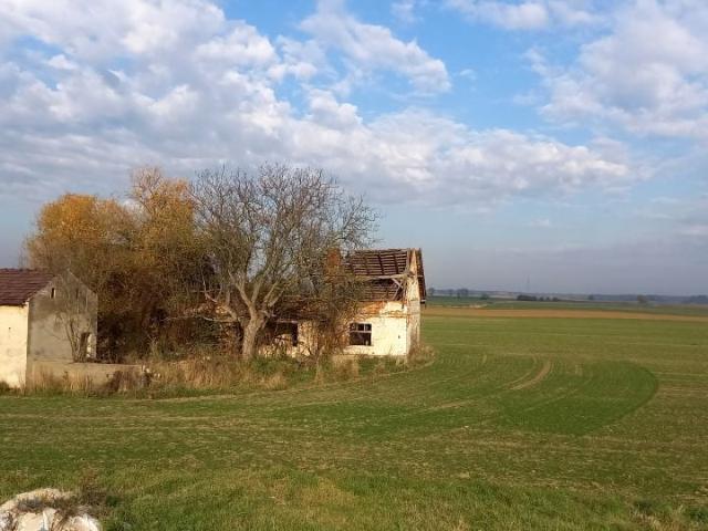 Biedaszka 8 763 m², Stare Siołkowice