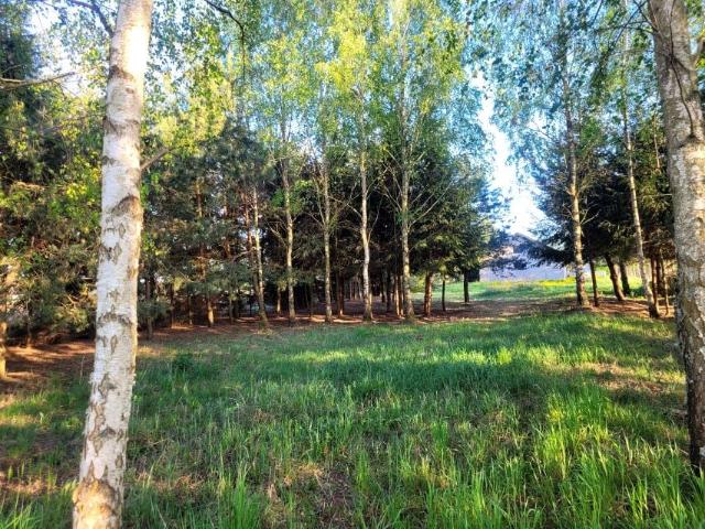 Bielska 764 m², Zabłudów