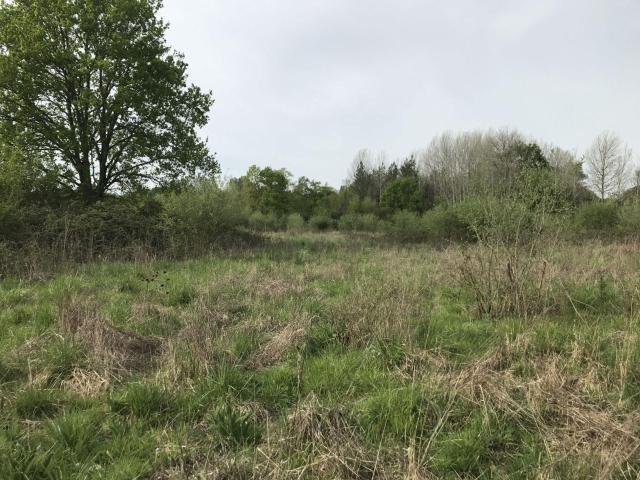 Bien agricole à vendre à Courcemont 72110