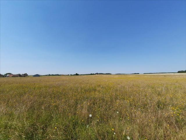 Bien agricole à vendre à Anjouin 36210