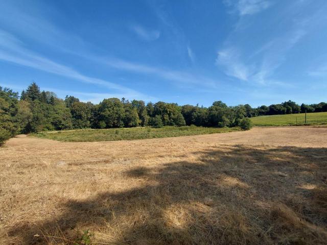 Bien agricole à vendre à Malguénac 56300