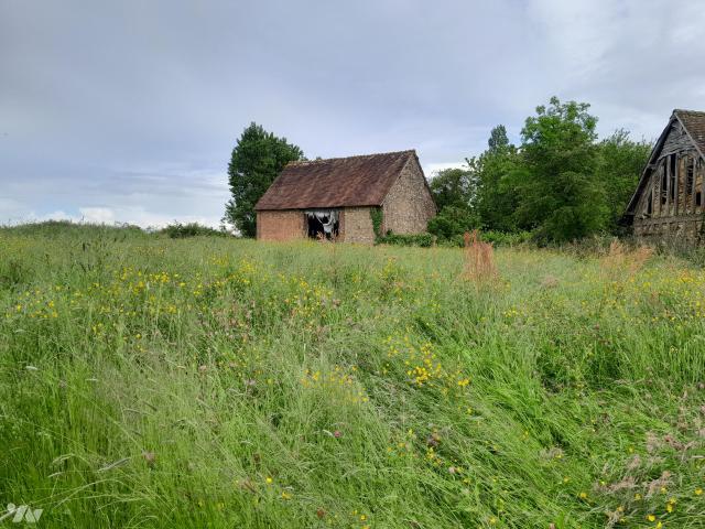 Bien agricole en vente à, 10000€