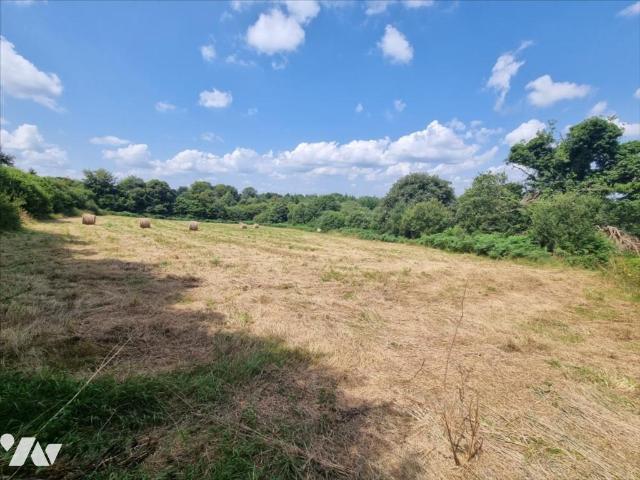 Bien agricole en vente à, 15000€