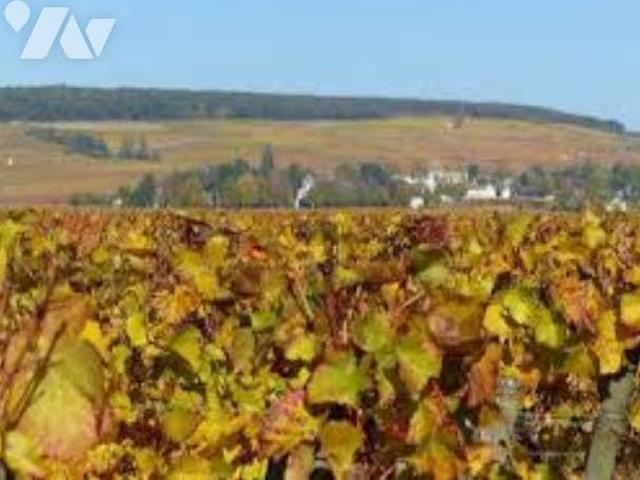 Bien agricole en vente à, 266400€