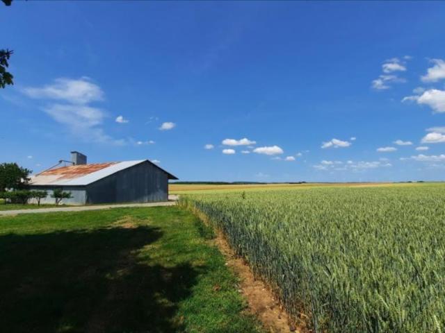Bien agricole en vente à, 3199 €