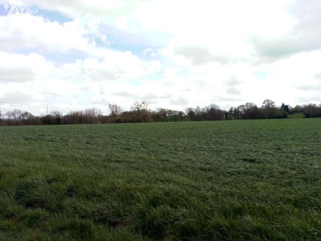 Bien agricole en vente à, 32000€