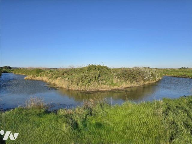 Bien agricole en vente à, 35000€