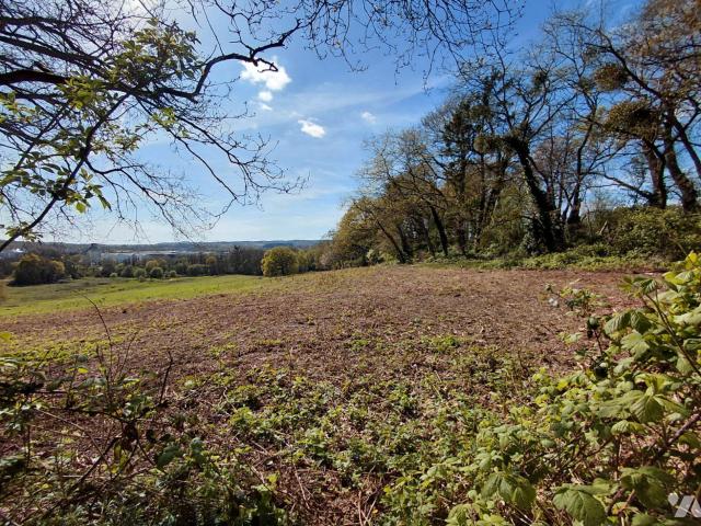Bien agricole en vente à, 45000€