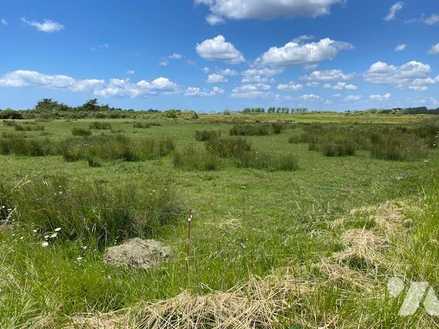 Bien agricole en vente à, 5000€