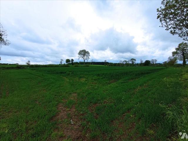 Bien agricole en vente à, 59200€