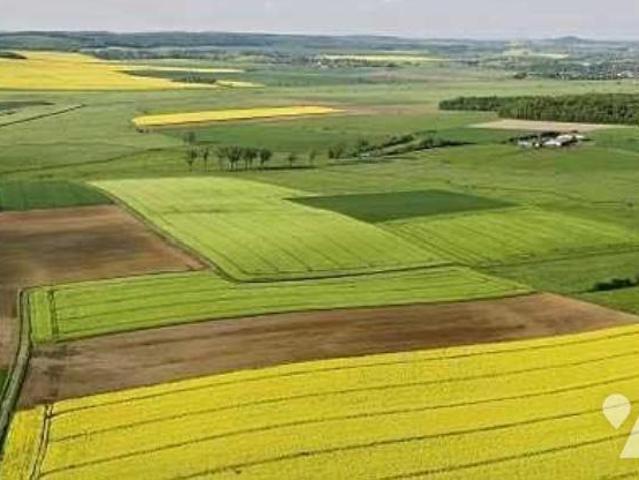Bien agricole en vente à, 6513 €