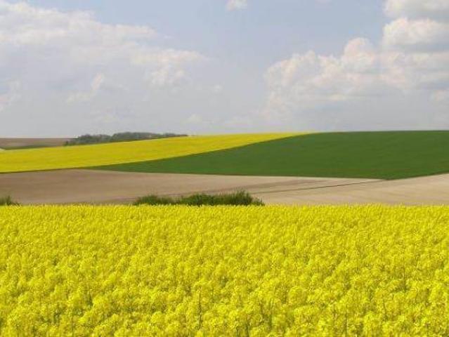 Bien agricole en vente à, 84403€
