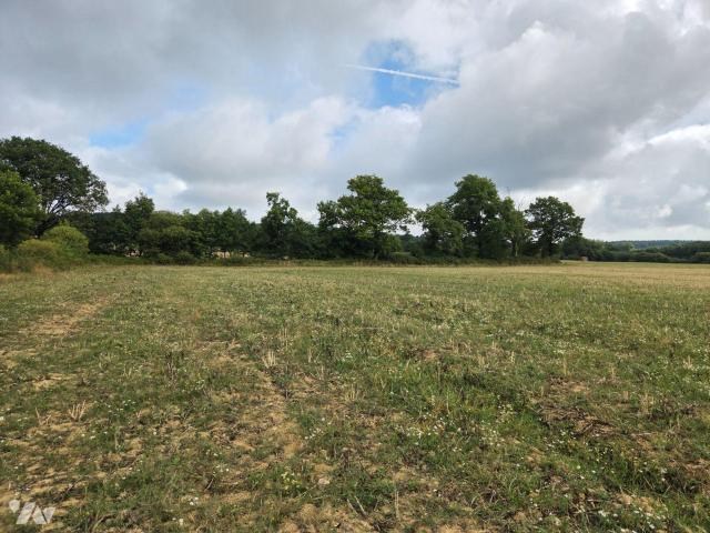 Bien agricole en vente à, 90185€