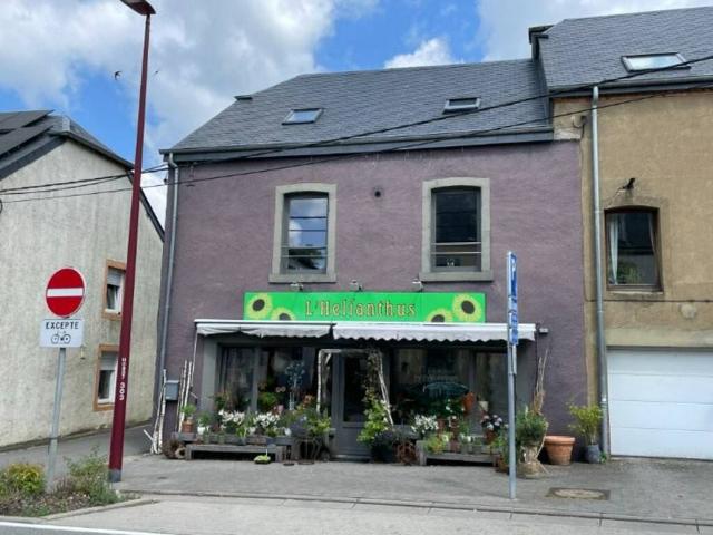 Bien immobilier en Vente à Tintigny