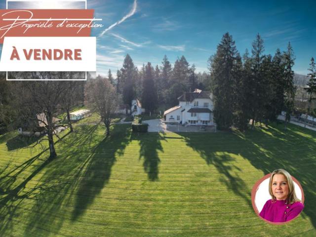 Bien rare à la vente, propriété de caractère avec piscine