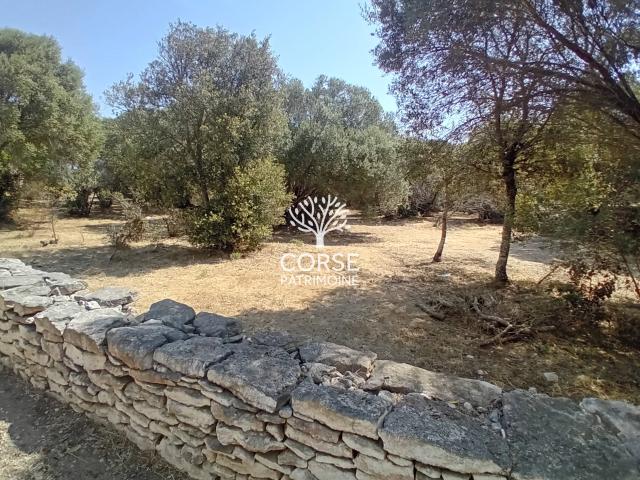 BIEN TRES RARE ! Terrain constructible à BONIFACIO