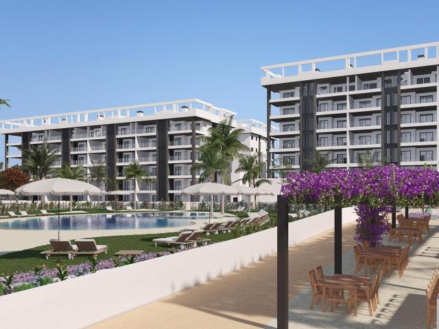 Bienvenido a Eden Beach: su oasis costero