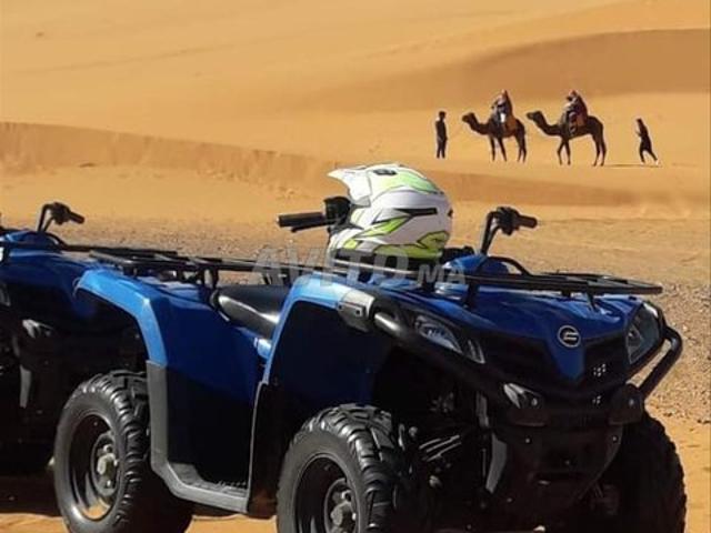 Bienvenue dans le désert de Merzouga