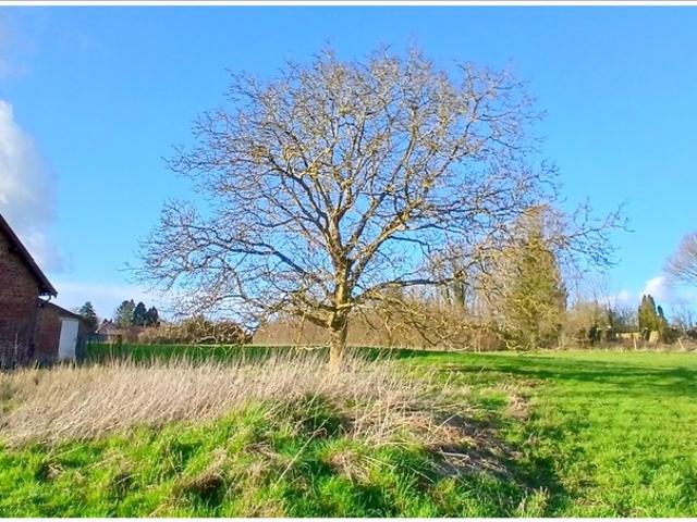 Bienvillers au Bois Vente Terrain 62