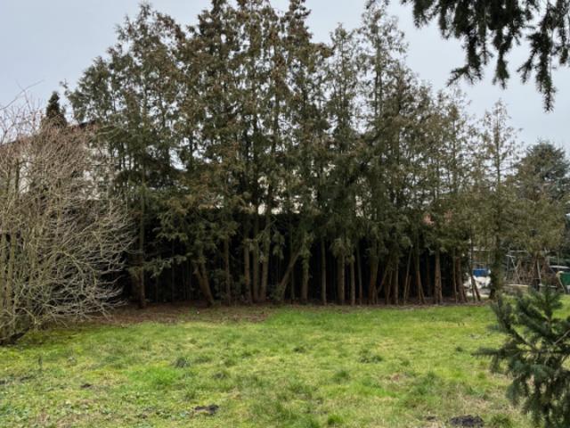 Biesdorf Süd! Baugrundstück mit bester Anbindung