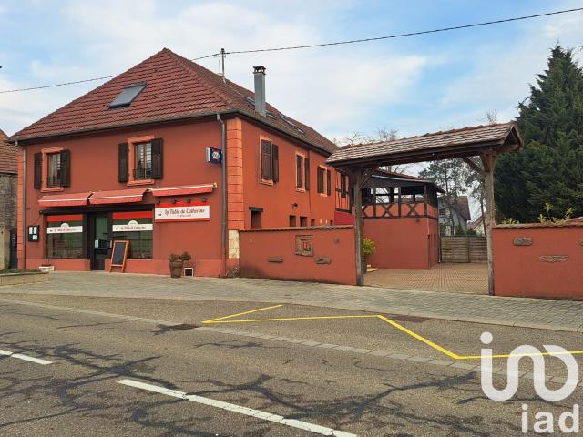 Biesheim Vente Immeuble 68