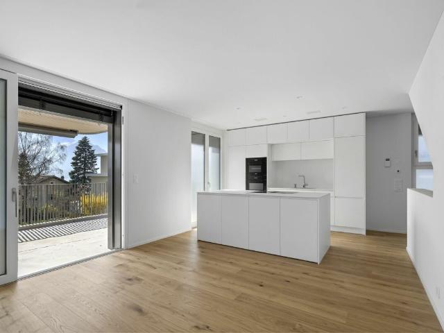 Bifamiliar house with 4.5 rooms on sale in Gersau 188 m² | dreamo. Ch
