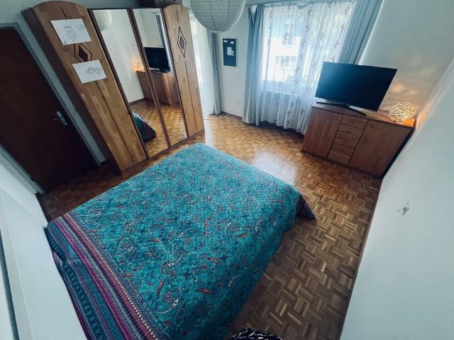 Bifamiliar house with 5.5 rooms on sale in Losone 197 m² | dreamo. Ch