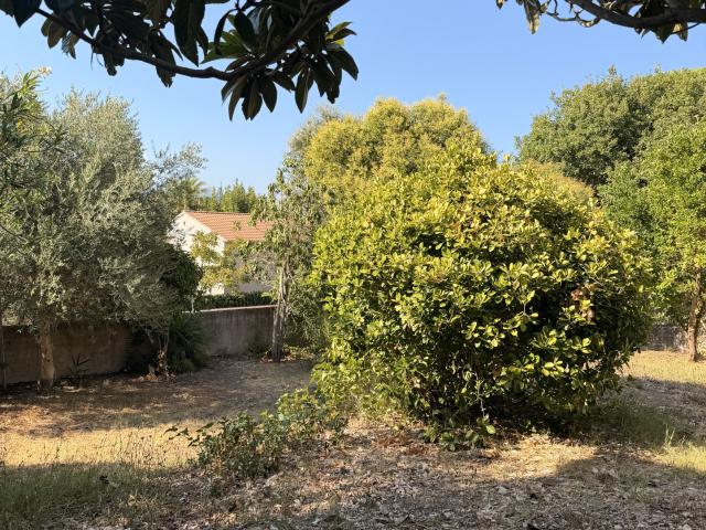 Biguglia Rez de villa Jardin