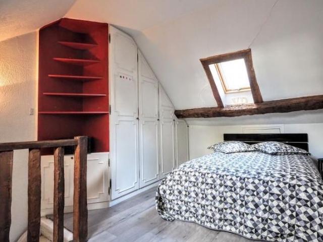 Big and Beautiful Apartment Duplex in the center of Paris