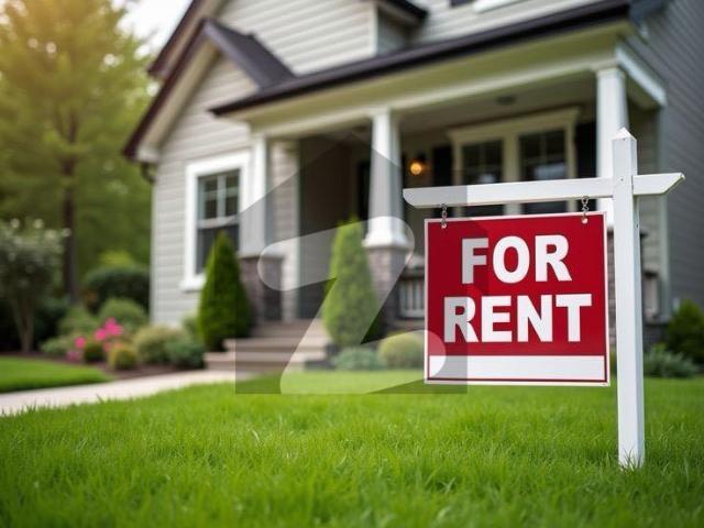 Big Double Storey House For Rent In Cantt View Collony Sialkot Near C Mall Cantt View Colony