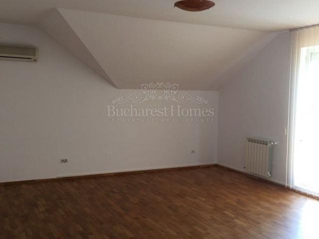 Big House, Big Garden, Lots of Space for the Kids in Pipera