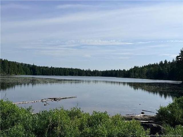 Big Salmon River Rd, Fair View, NB, E5R 1L6 vacant land for sale | Listing ID NB145118 | Royal LePage
