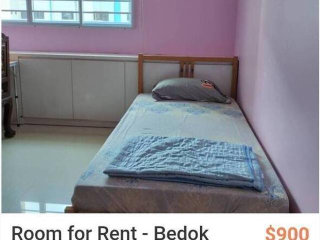 Big Spacious room