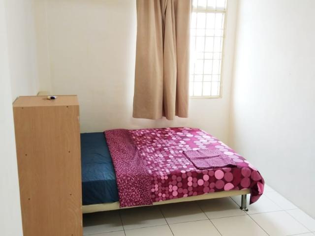Big room in jelutong looking for mix gender unit for rent