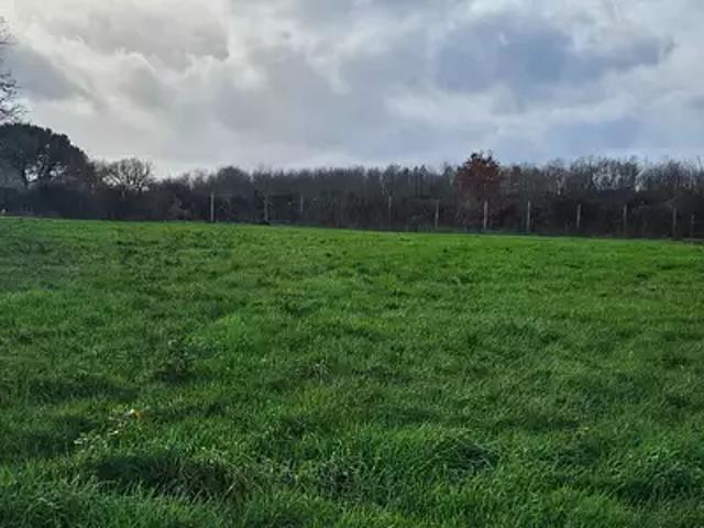 Bignay 17400 Achat / Vente terrain
