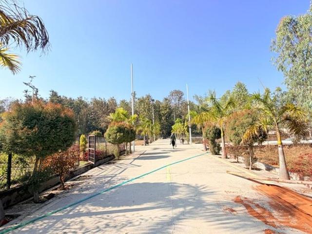 Biharigarh, Dehradun South 125 Sq.Ft. Plot in Biharigarh Dehradun Listing ID: #10313