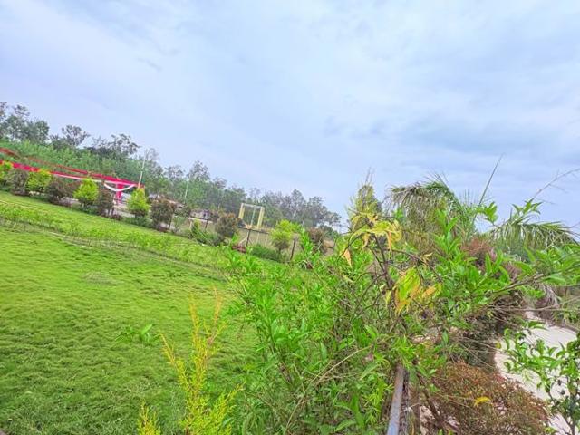 Biharigarh, Dehradun South 205 Sq.Ft. Plot in Biharigarh Dehradun Listing ID: #10335