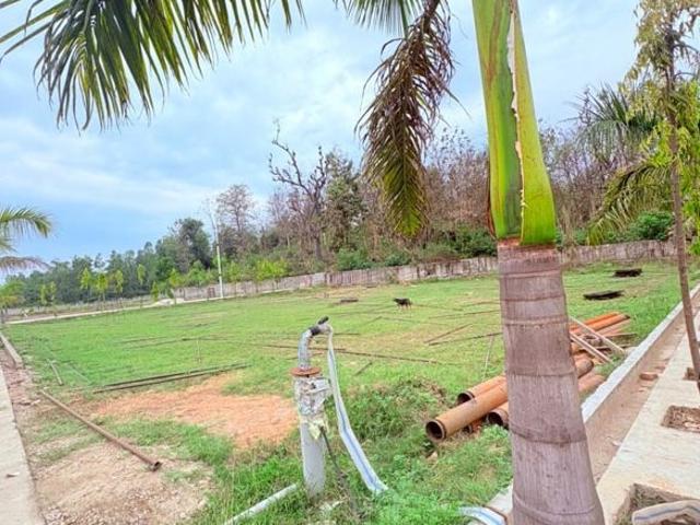 Biharigarh, Dehradun South 325 Sq.Ft. Plot in Biharigarh Dehradun Listing ID: #10322