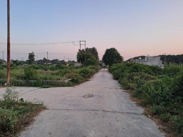 Bijli Gher Kalindikunj 4 250 Sq. Yd. Plot in Kalindi Kunj Khurja Listing ID: #8661