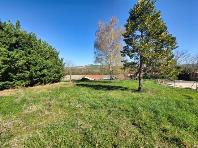 Billom Vente Terrain 63