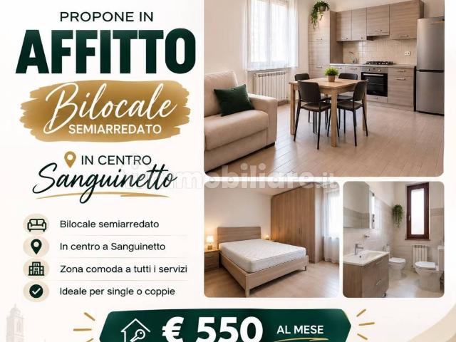 Bilocale 50 m², Centro, Sanguinetto