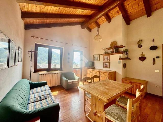 Bilocale via Baslini, Centro, Ponte di Legno