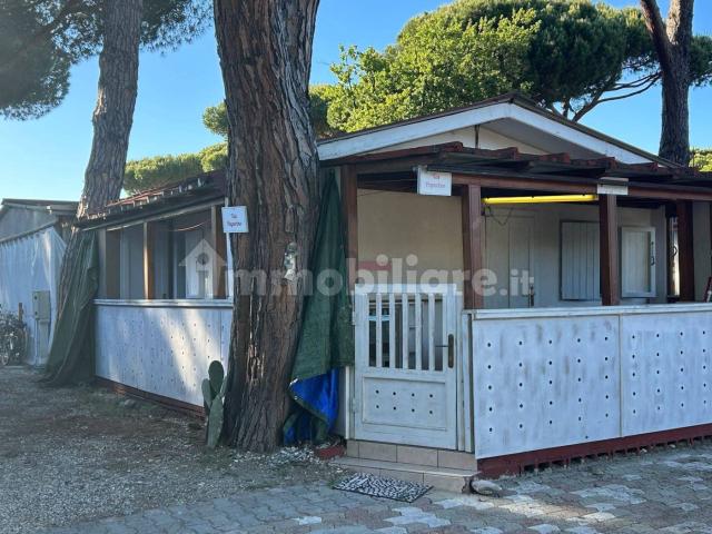 Bilocale via Massetana Nord, Centro, Massa Marittima