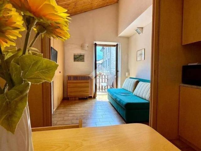 Bilocale via Nino Bixio, Centro, Ponte di Legno
