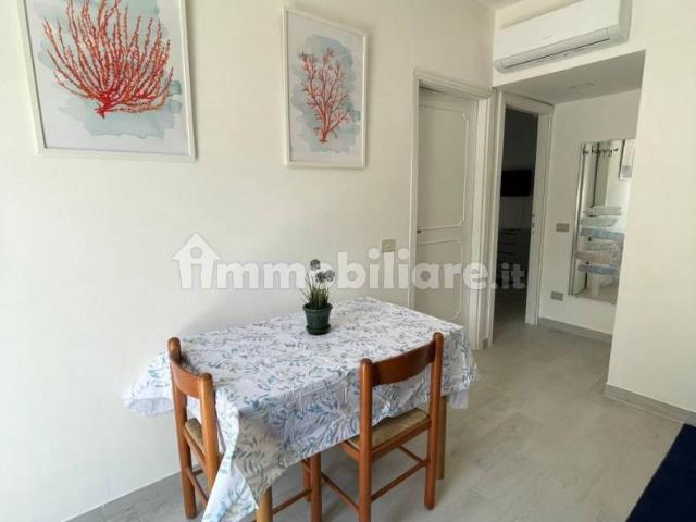 Bilocale via Palmarola, Latina Lido, Latina