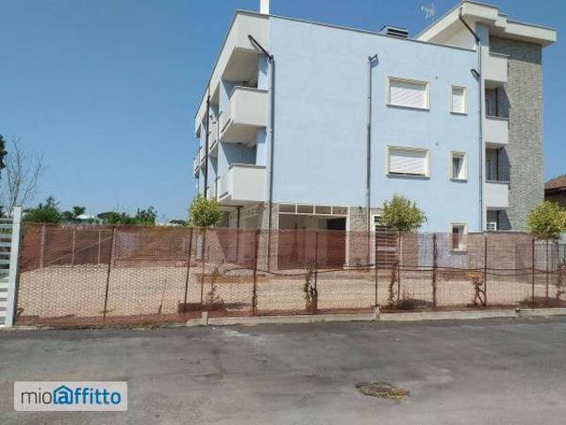 Bilocale arredato Tor vergata, morena, romanina